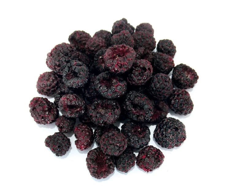 CZARNA MALINA LIOFILIZOWANA BIO