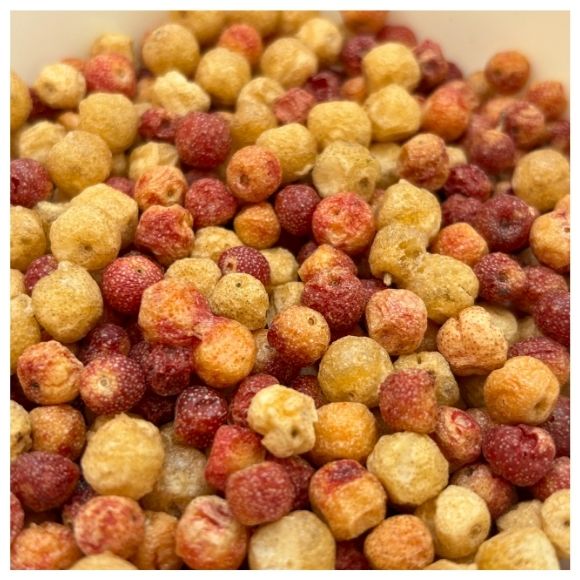 oliwnik_premium lioforte